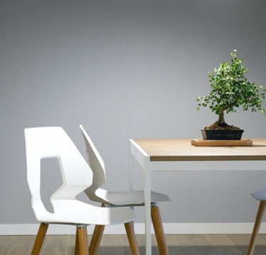 An image of a chair and a plate on  a table